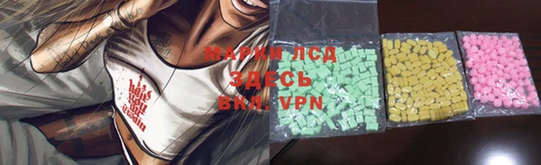 хмурый Абаза