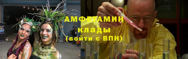 хмурый Абаза