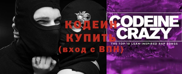 хмурый Абаза