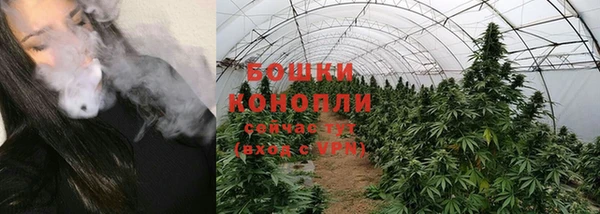 сатива Абдулино